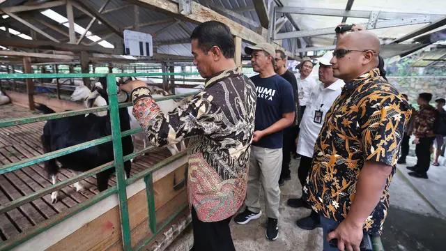 Pemerintah Ajak Peternak Kambing Perah dan Susu Genjot Produksi: Dukung Pangan Bergizi