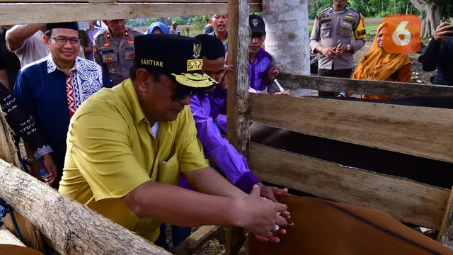 Melihat Keseriusan Pj Gubernur Sulsel Dorong Inovasi Peternakan di Bone